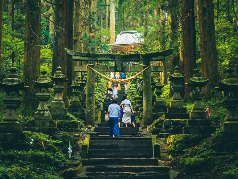日本12天家庭深度游